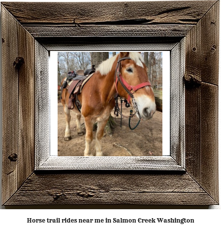 horse trail rides near me in Salmon Creek, Washington